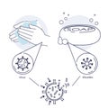 Hand washing with soap. Micelles. Hand wash infographics.